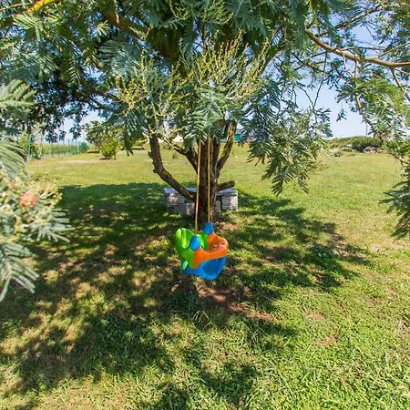 La Casa Del Abuelo 2*