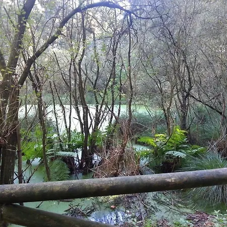 La Casa Del Abuelo 2* Tapia De Casariego