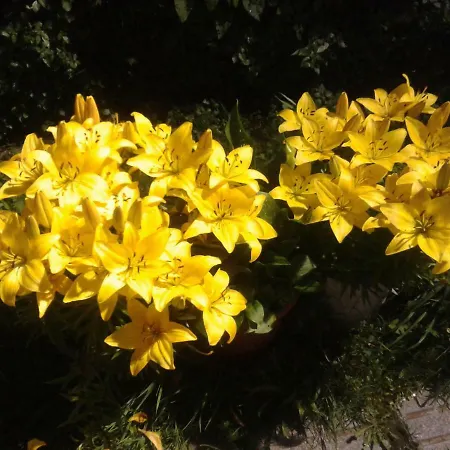 Hotel La Casa Del Abuelo Tapia De Casariego